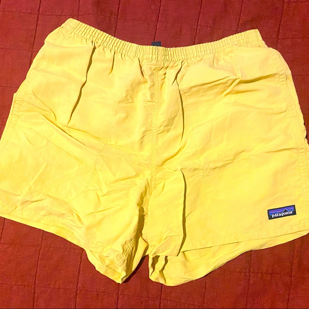 Patagonia Mens Swim Trunks